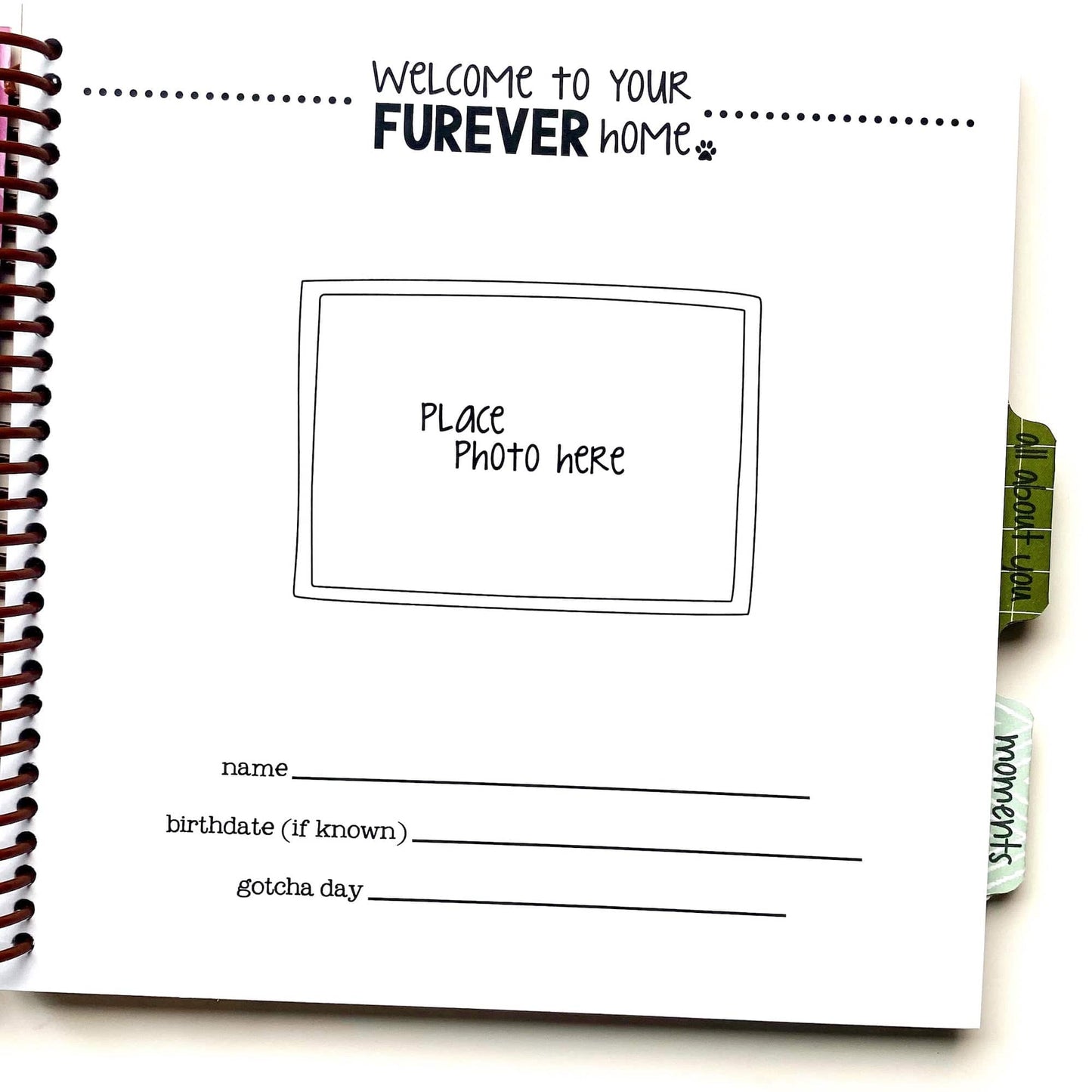 Welcome home page for the first picture of your dog. Also includes a place to write down their name, birthdate and gotcha day