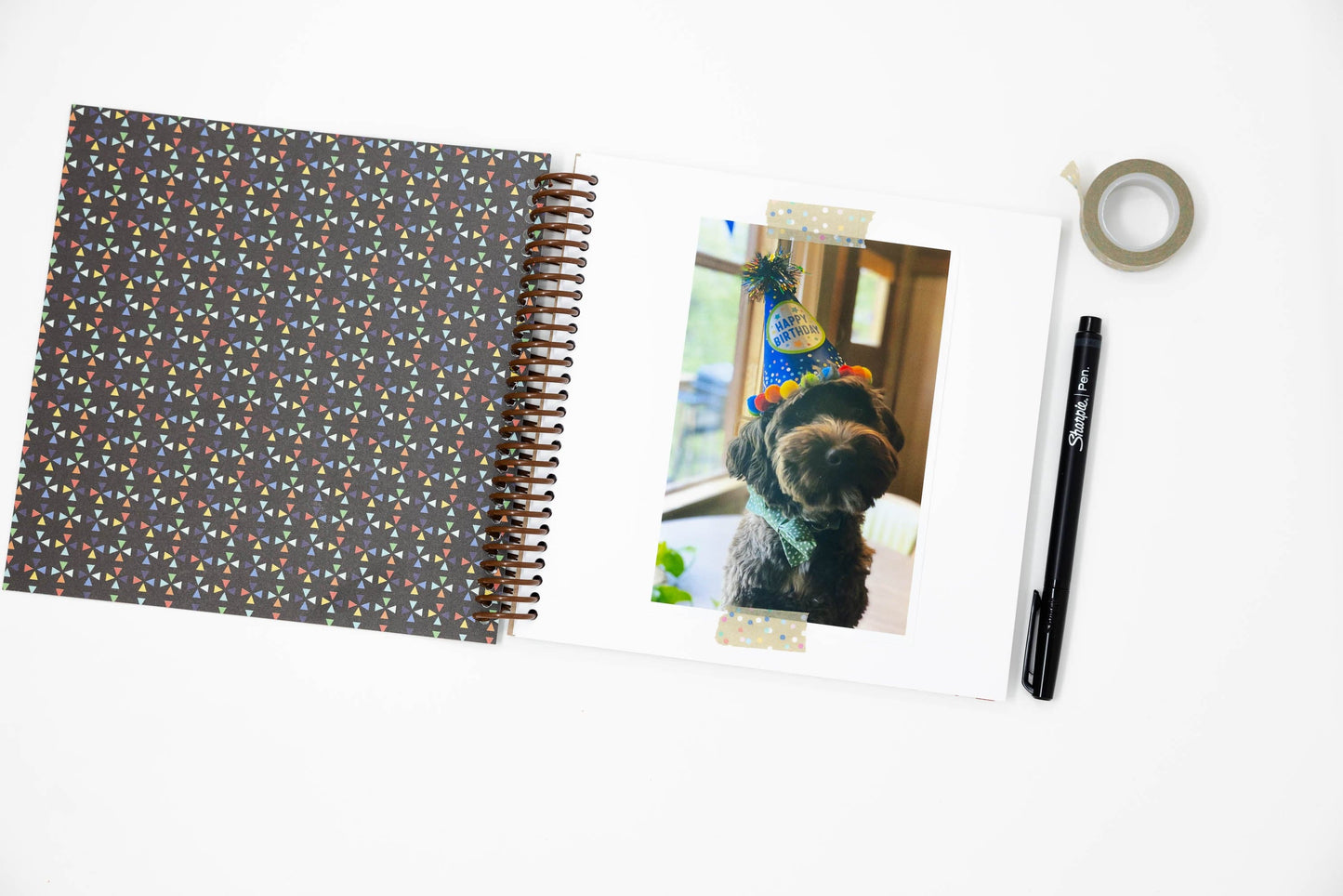 Dog Birthday Book