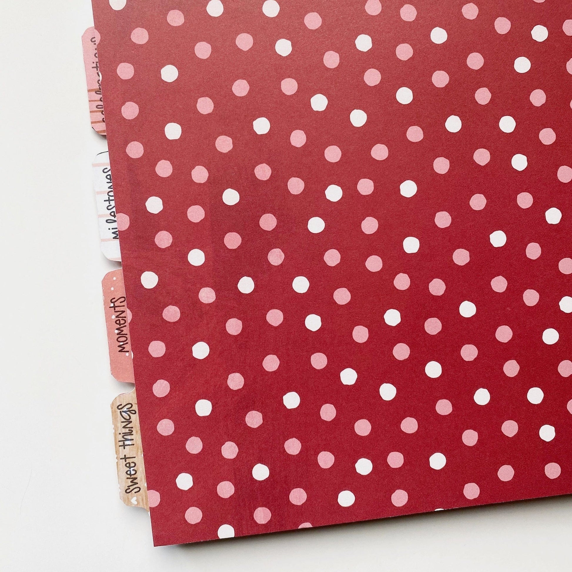 Foster Child Baby Book