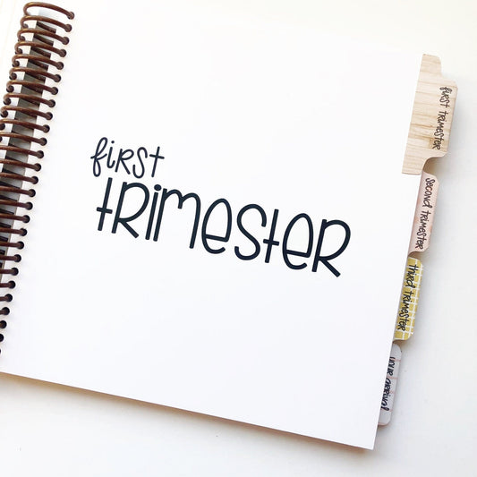 Pregnancy Journal Broken down by trimester