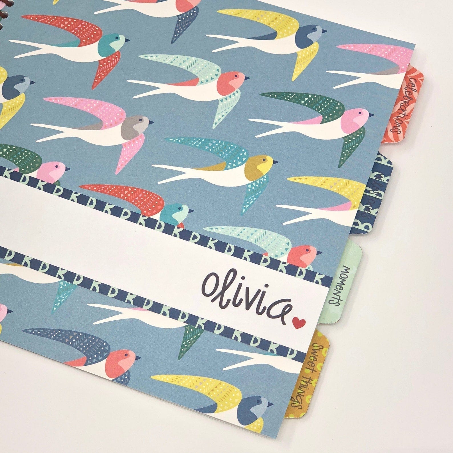 Single Mom Baby Book with Bird Cover