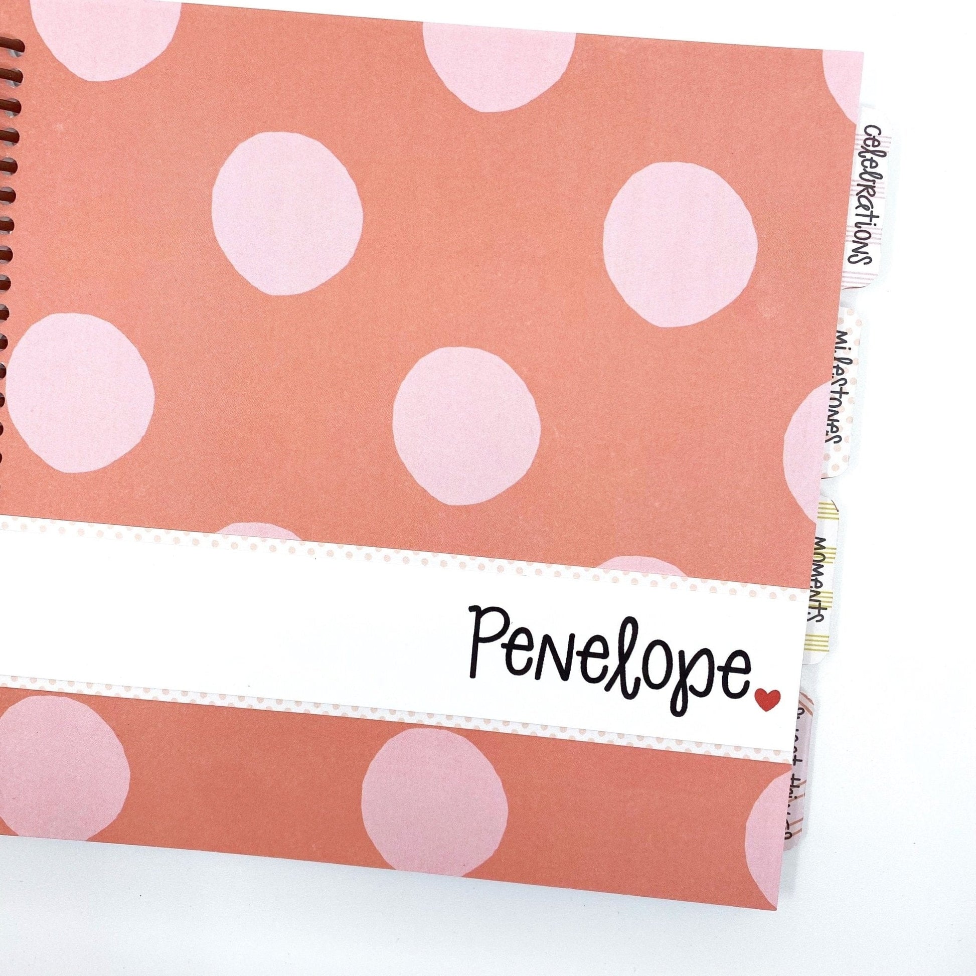 Baby Girl Baby Book