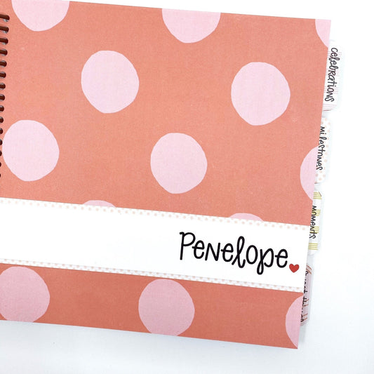 Baby Girl Baby Book