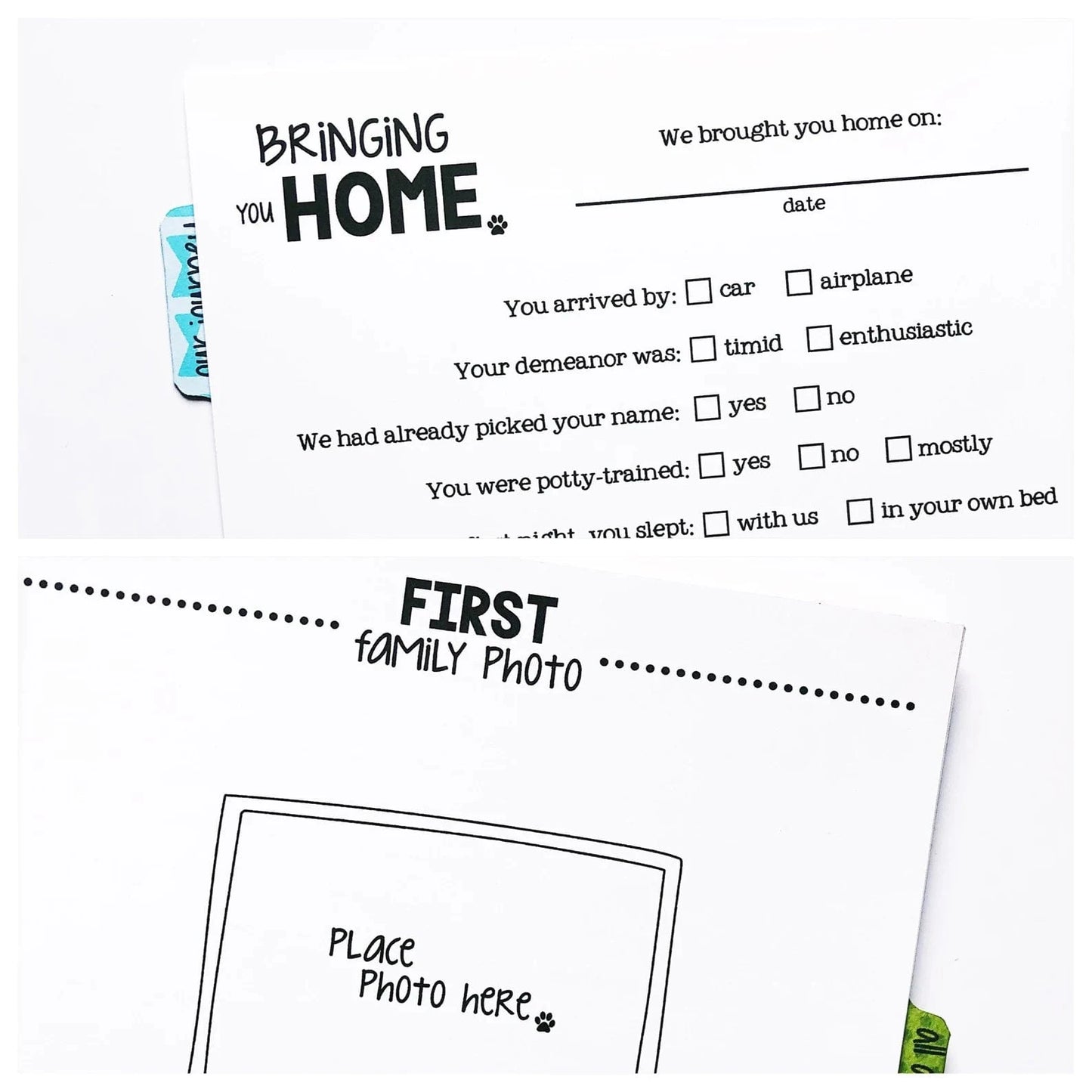 dog memory book
