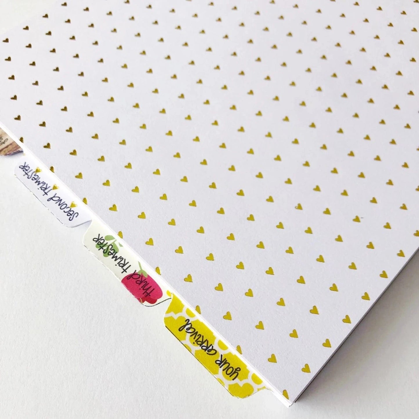 pregnancy journal