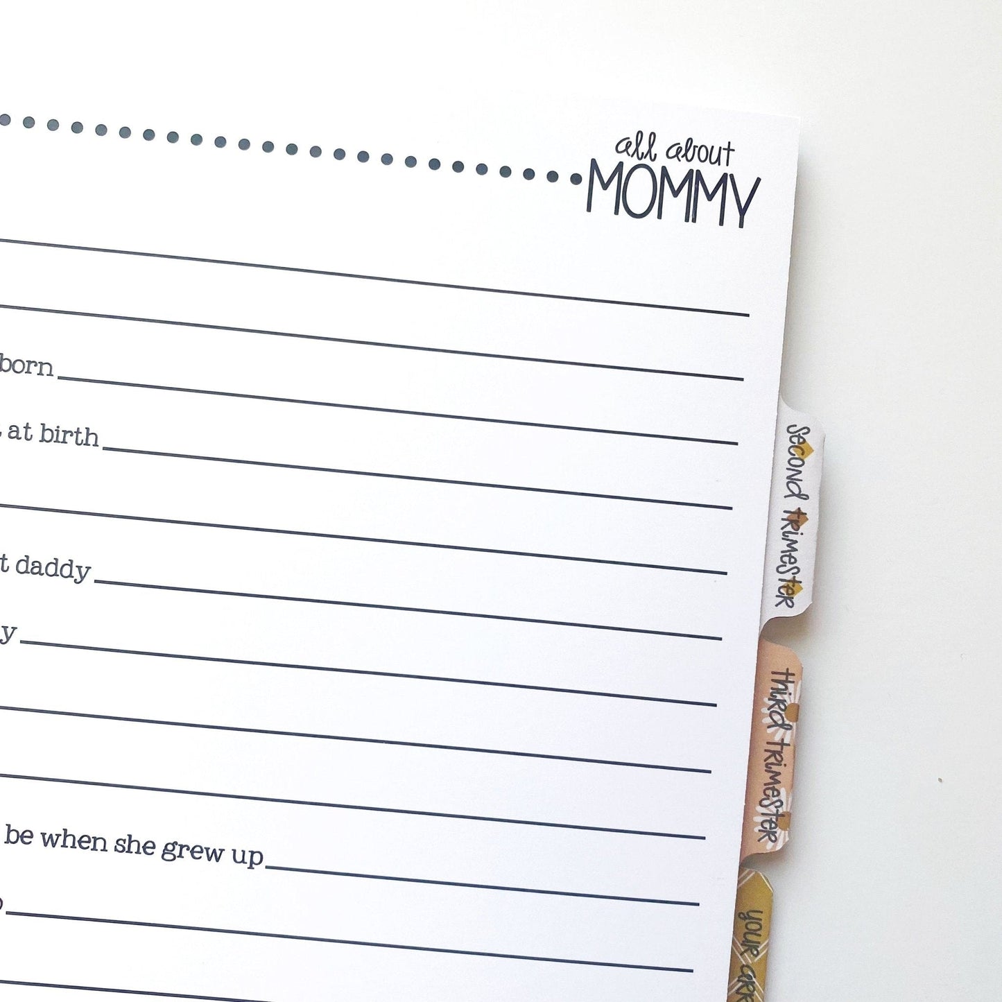 pregnancy gift pregnancy journal