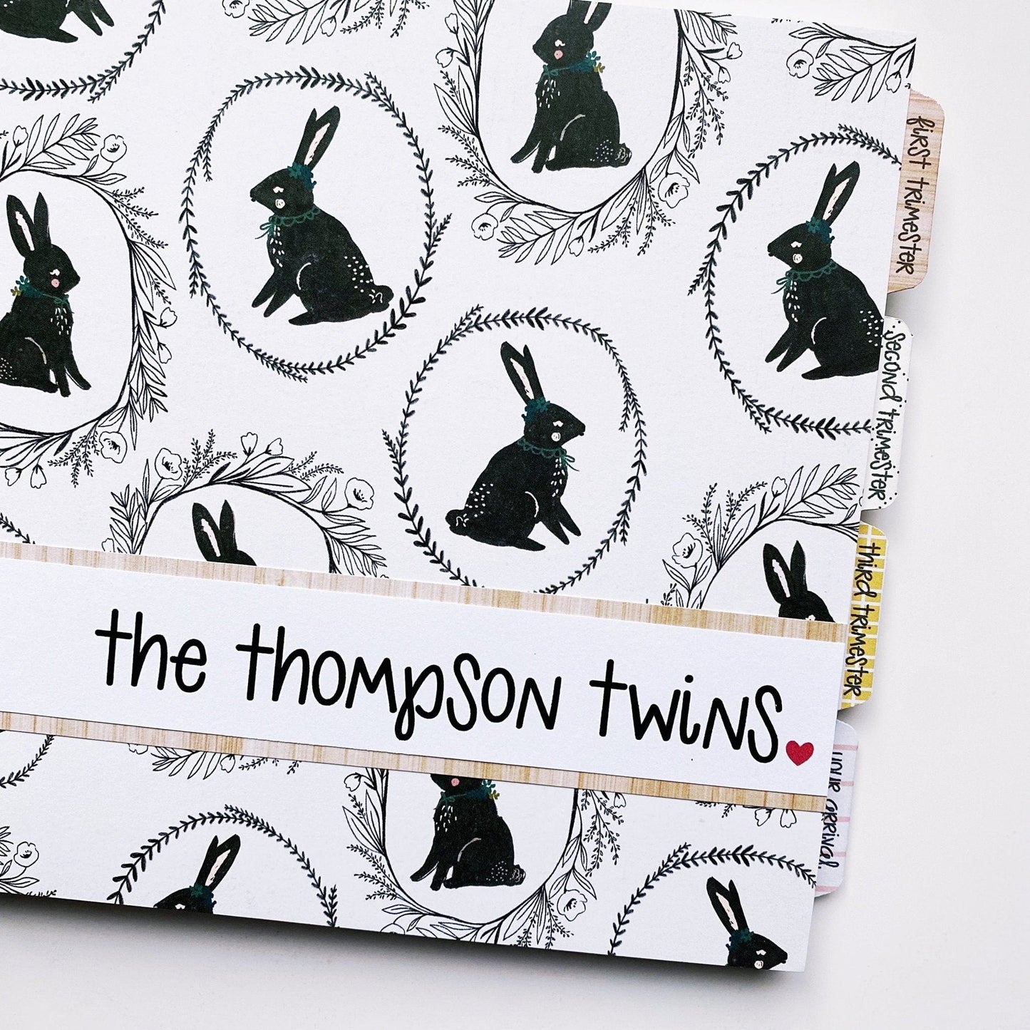 best twin pregnancy journal