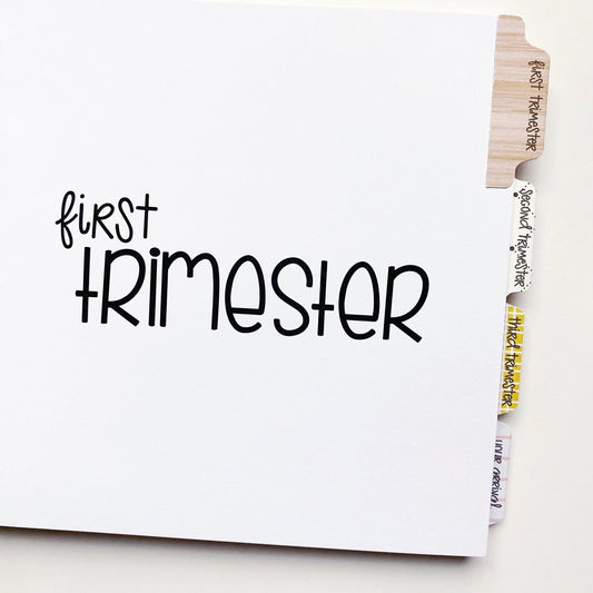 best twin pregnancy journal