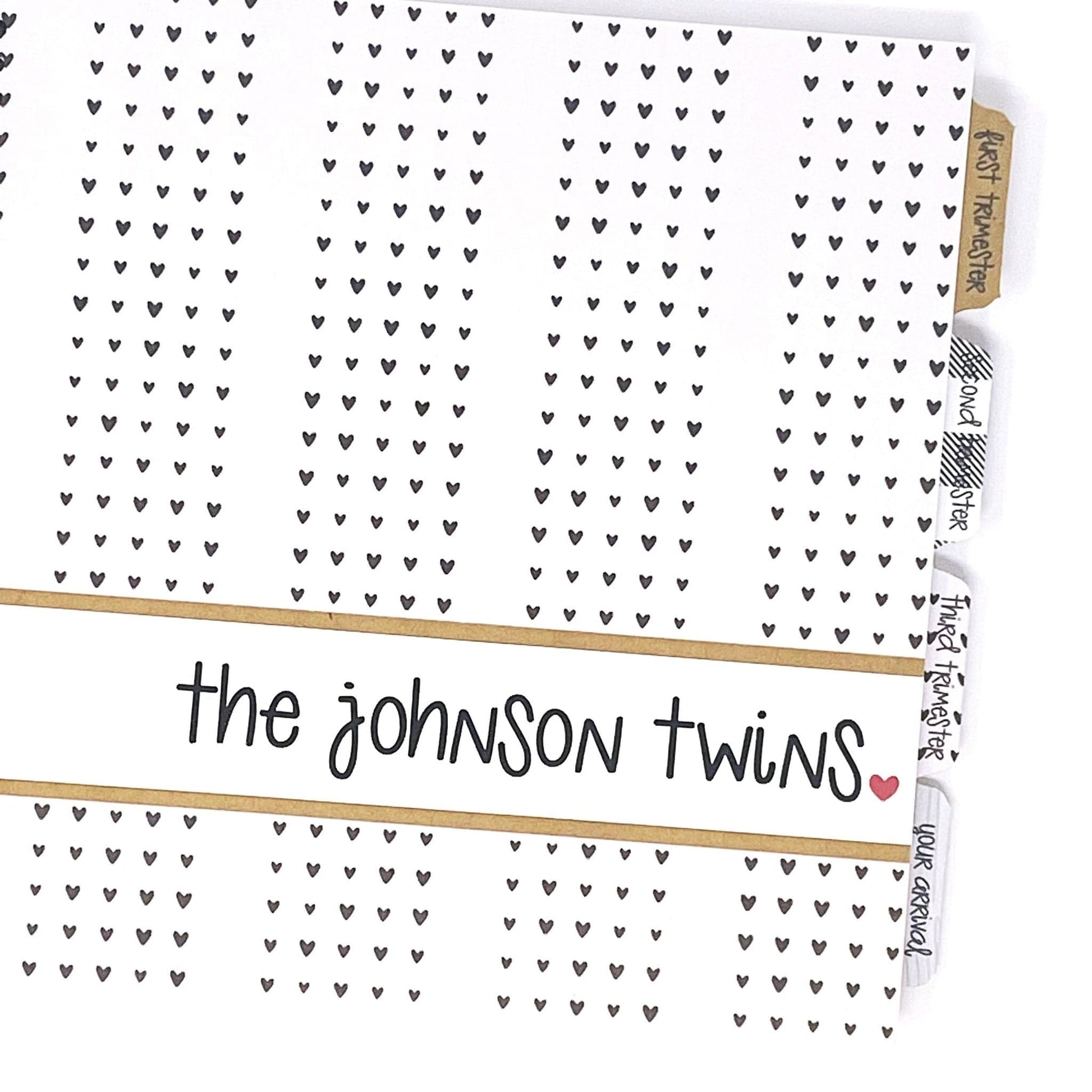 twin pregnancy journal