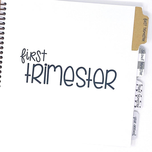 twin pregnancy journal