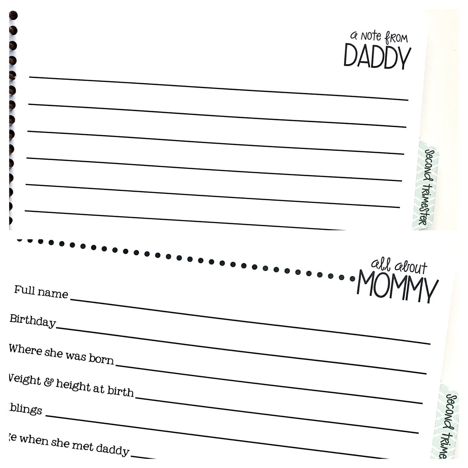 twin pregnancy journal