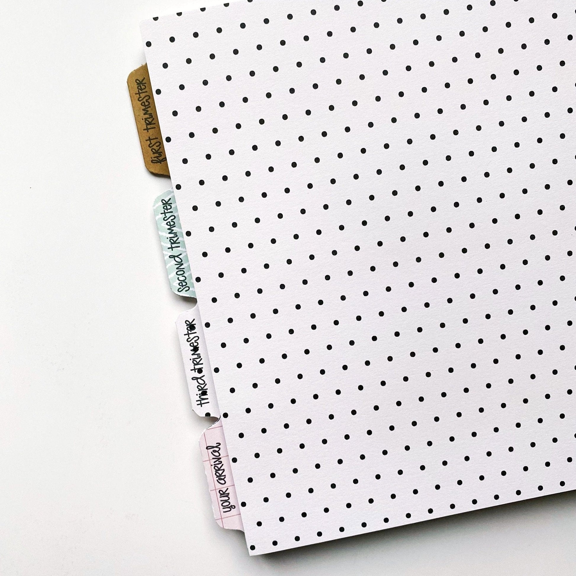 twin pregnancy journal