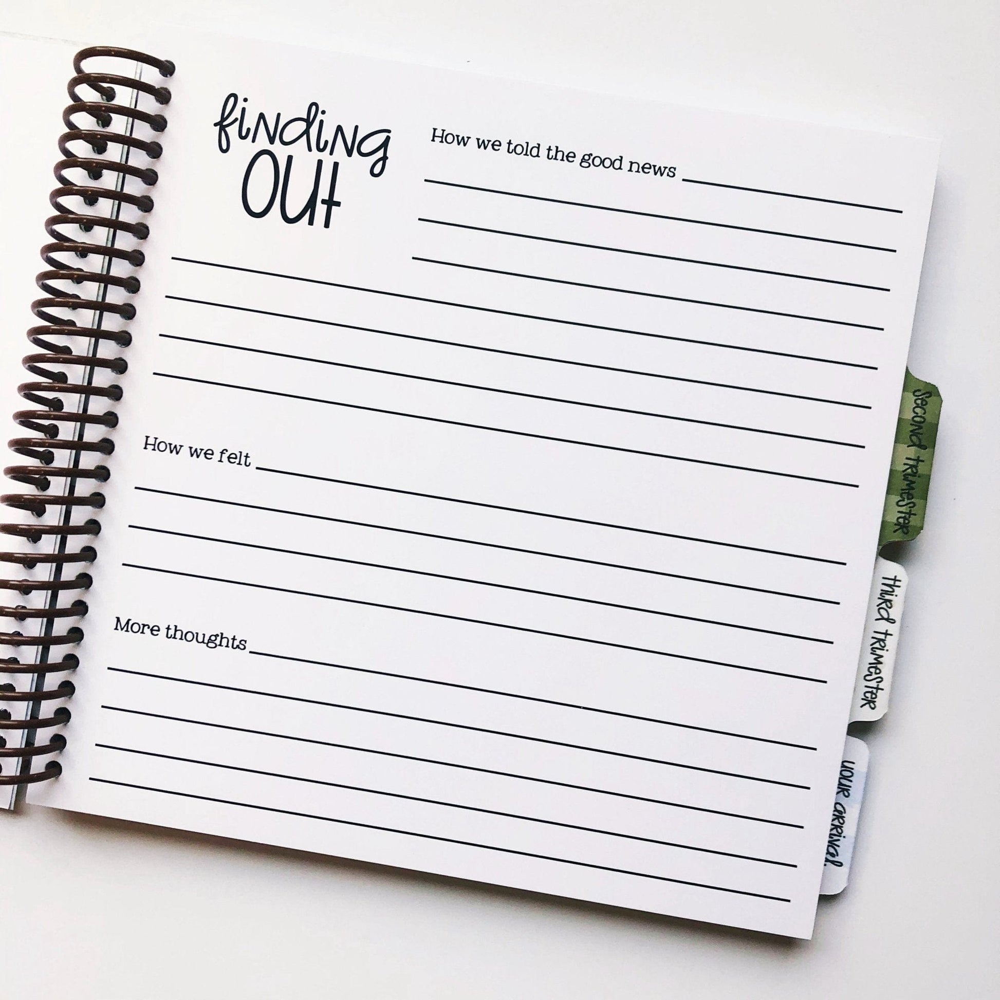 Single mom pregnancy journal