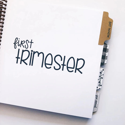 pregnancy journal