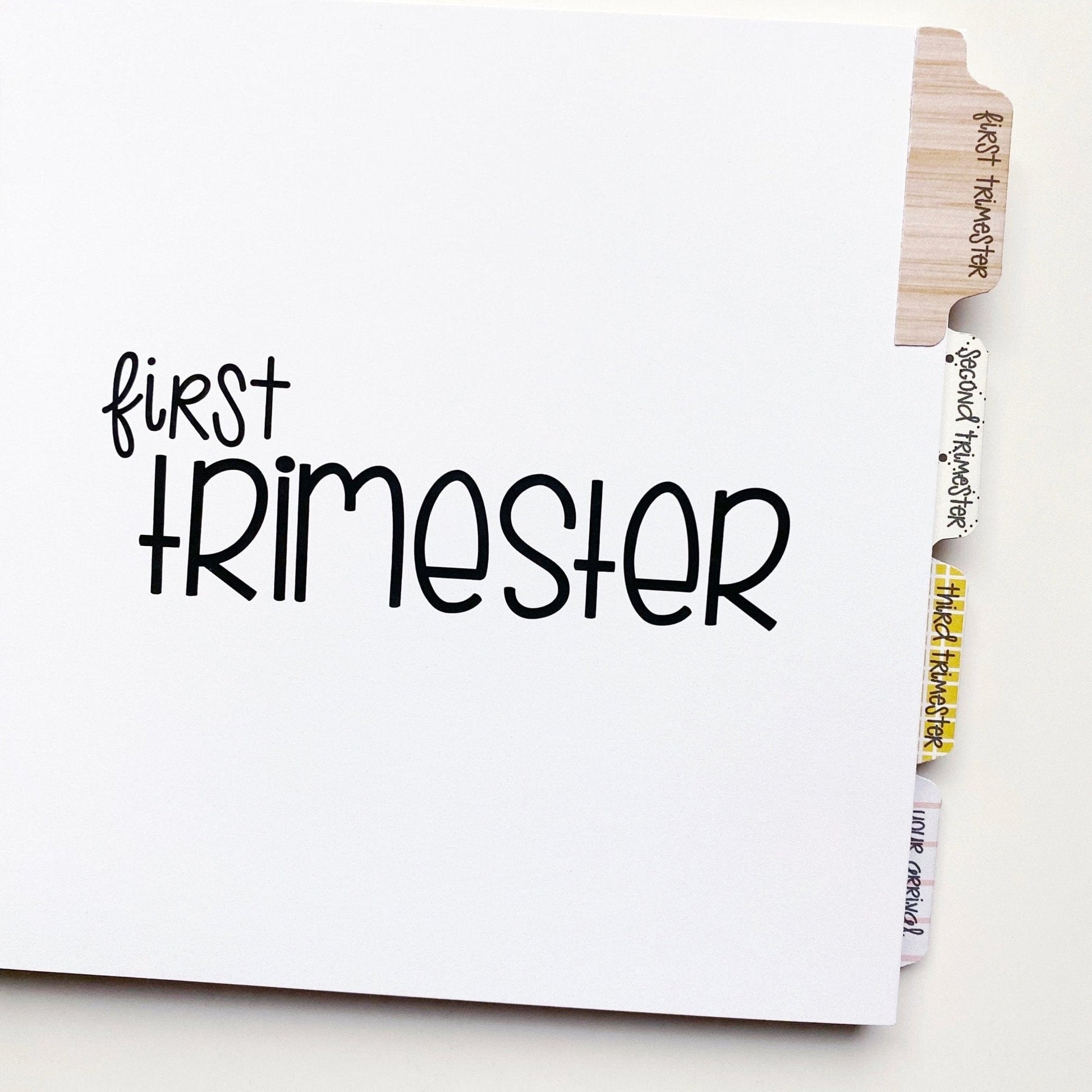 Twin Pregnancy Journal Bunny – spunkandlove